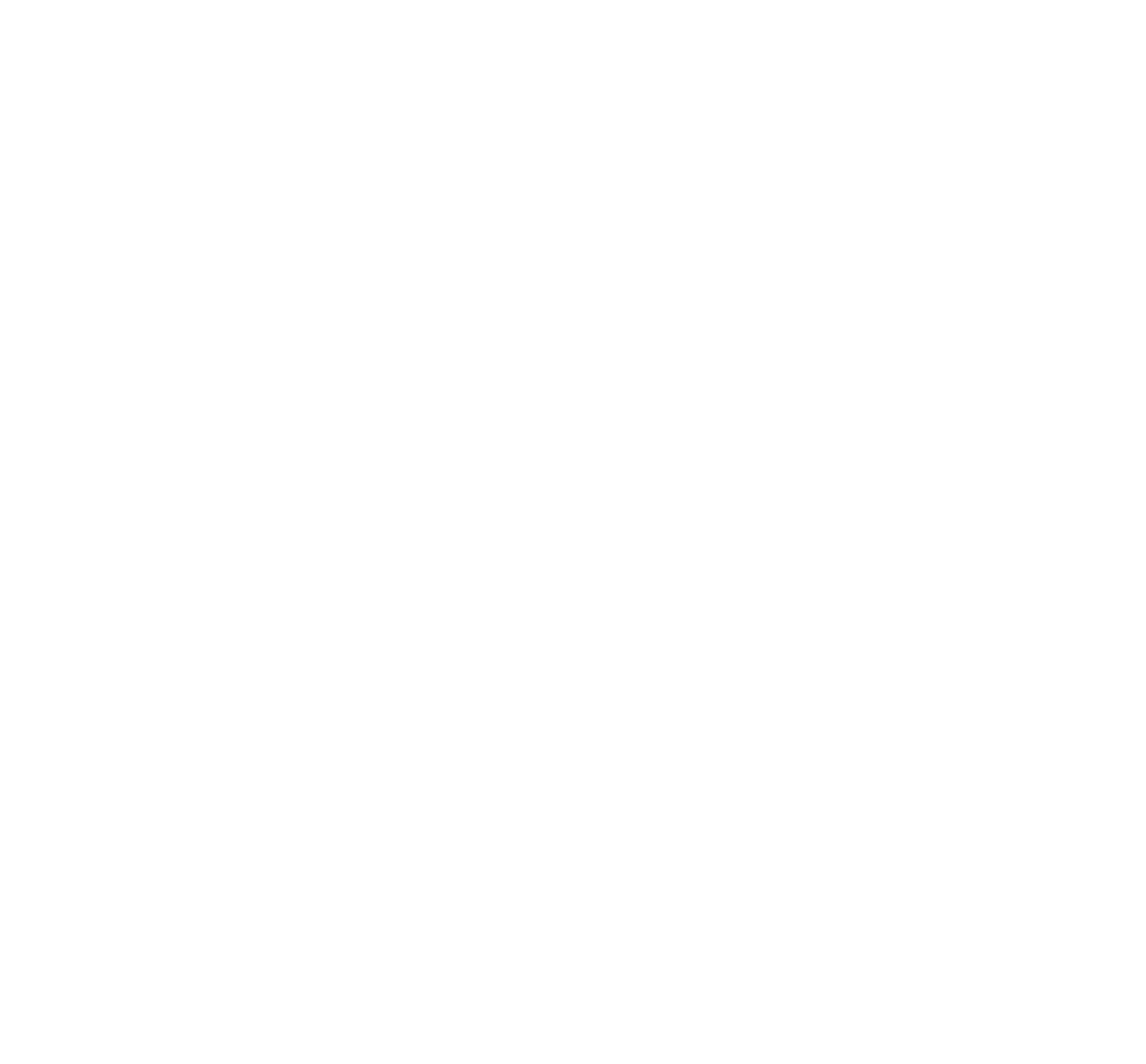 Pegasus Air Service Inc